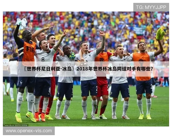 冰岛籍球员在英超中的位置与贡献回顾