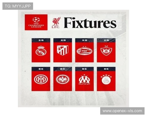 德甲球队称号大全及图片汇总（含外号与绰号）