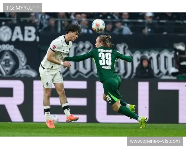 沃尔夫斯堡对阵门兴比赛突发中断引发德甲赛场关注风波与安全讨论