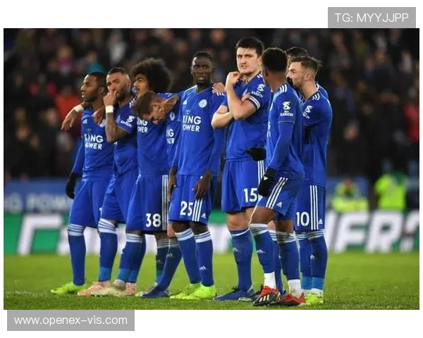 英超联赛莱切斯特城队现役球员名单及实力分析 英超联赛莱切斯特城队现役球员名单及实力分析