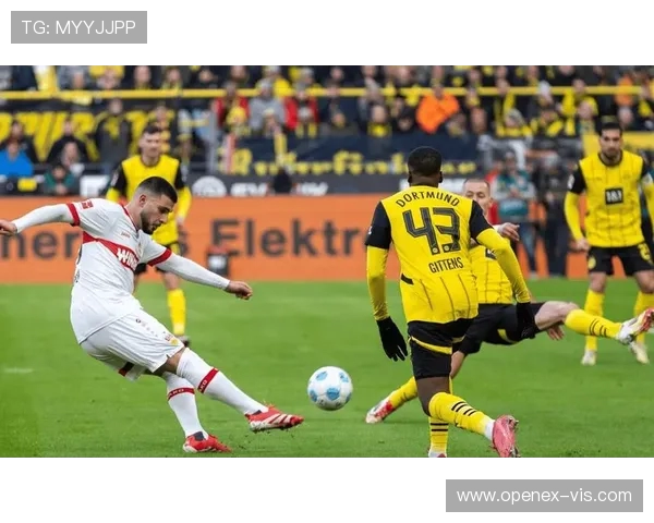 黑黄风暴:2021德甲欧冠劲旅的征途与启示 黑黄风暴:2021德甲欧冠劲旅的征途与启示